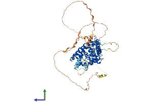 AlphaFold protein structure predicition of Human Recombinant RXRB Protein, UniprotID P28702