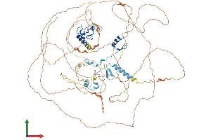 AlphaFold protein structure predicition of Mouse Recombinant Atxn7 Protein, UniprotID Q8R4I1 (ATXN7 Protein (AA 1-867) (His tag))