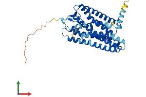 AlphaFold protein structure predicition of Human Recombinant OR2D3 Protein, UniprotID Q8NGH3 (OR2D3 Protein (AA 1-330) (His tag))