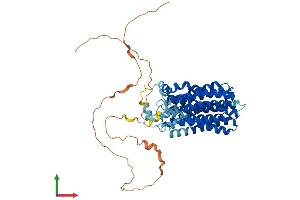 AlphaFold protein structure predicition of Human Recombinant FLVCR1 Protein, UniprotID Q9Y5Y0 (FLVCR Protein (AA 1-555) (His tag))