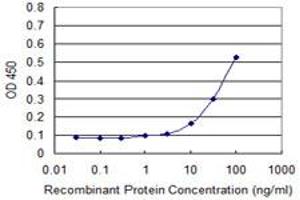 Detection limit for recombinant GST tagged PHKG2 is approximately 10ng/ml as a capture antibody. (PHKG2 antibody  (AA 1-406))