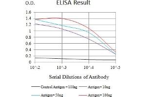 Black line: Control Antigen (100 ng),Purple line: Antigen (10 ng), Blue line: Antigen (50 ng), Red line:Antigen (100 ng) (PTPRJ antibody  (AA 36-210))