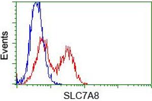 HEK293T cells transfected with either pCMV6-ENTRY SLC7A8 (RC208586) (Red) or empty vector control plasmid (Blue) were immunostained with anti-SLC7A8 mouse monoclonal (ABIN2452328, Dilution 1:1,000), and then analyzed by flow cytometry. (SLC7A8 antibody)