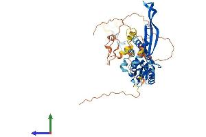 AlphaFold protein structure predicition of Human Recombinant TMEM151A Protein, UniprotID Q8N4L1