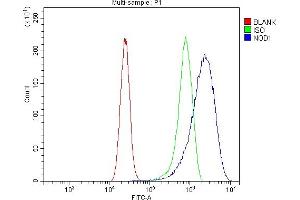Flow Cytometry analysis of CACO-2 cells using anti-CARD4/NOD1 antibody (ABIN7600975). (NOD1 antibody  (AA 26-953))