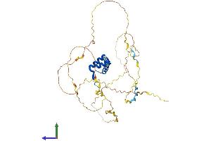 AlphaFold protein structure predicition of Mouse Recombinant Hoxa10 Protein, UniprotID P31310 (HOXA10 Protein (AA 1-416) (His tag))