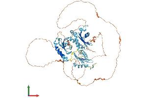 AlphaFold protein structure predicition of Human Recombinant HPS4 Protein, UniprotID Q9NQG7 (HPS4 Protein (AA 1-708) (His tag))