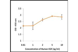 Activity Assay (AcA) image for Epidermal Growth Factor (EGF) (Active) protein (ABIN5509294) (EGF Protein)