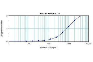Image no. 3 for anti-Interleukin 15 (IL15) antibody (ABIN464931) (IL-15 antibody)