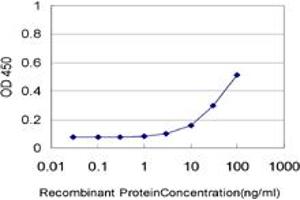 Detection limit for recombinant GST tagged NTNG2 is approximately 3ng/ml as a capture antibody. (Netrin G2 antibody  (AA 21-119))