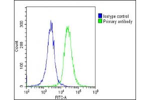 Overlay histogram showing HeLa cells stained with (ABIN6243393 and ABIN6578845)(green line). (ATP1A4 antibody  (AA 12-46))