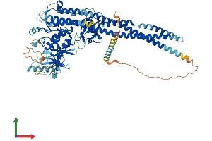 AlphaFold protein structure predicition of Human Recombinant CHUK Protein, UniprotID O15111 (IKK alpha Protein (AA 1-745) (His tag))