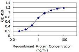 Detection limit for recombinant GST tagged IFT74 is 0. (IFT74 antibody  (AA 1-100))