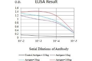 Black line: Control Antigen (100 ng),Purple line: Antigen (10 ng), Blue line: Antigen (50 ng), Red line:Antigen (100 ng) (CHD4 antibody  (AA 1-194))