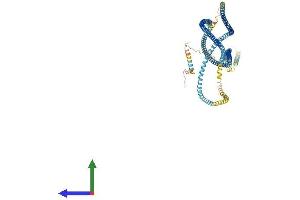 AlphaFold protein structure predicition of Human Recombinant CCDC178 Protein, UniprotID Q5BJE1 (CCDC178 Protein (AA 1-867) (His tag))