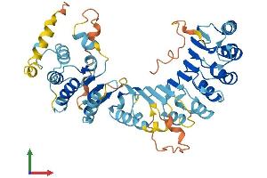 AlphaFold protein structure predicition of Human Recombinant PRAMEF17 Protein, UniprotID Q5VTA0 (PRAMEF17 Protein (AA 1-474) (His tag))
