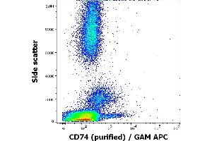 Flow cytometry surface staining pattern of human peripheral whole blood stained using anti-human CD74 (LN2) purified antibody (concentration in sample 1,7 μg/mL, GAM APC). (CD74 antibody)