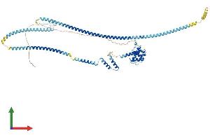 AlphaFold protein structure predicition of Human Recombinant NDC80 Protein, UniprotID O14777 (NDC80 Protein (AA 1-642) (His tag))