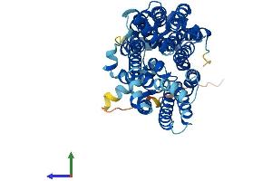 Protein Structure (PS) image for Solute Carrier Family 2 (Facilitated Glucose Transporter), Member 3 (SLC2A3) (AA 1-496) protein (His tag) (ABIN7554054)