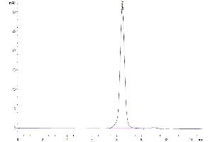 The purity of Cynomolgus IL-1 Rrp2/IL-1 R6 is greater than 95 % as determined by SEC-HPLC. (IL1RL2 Protein (AA 20-335) (His tag))