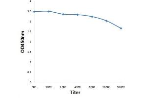 Antigen: 0. (ENPP2 antibody  (AA 131-230))