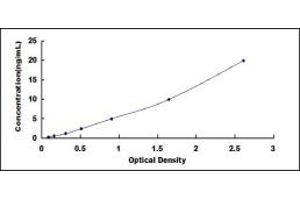 Typical standard curve (PTH1R ELISA Kit)