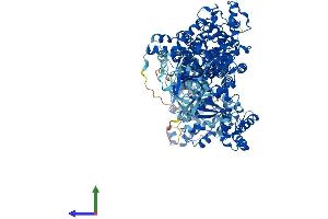 Protein Structure (PS) image for Leucyl-tRNA Synthetase (LARS) (AA 1-1176) protein (His tag) (ABIN7555691)