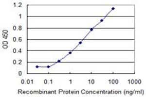 Detection limit for recombinant GST tagged SNAPC4 is 0. (SNAPC4 antibody  (AA 53-162))
