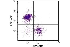 BALB/c mouse splenocytes were stained with Rat Anti-Mouse CD22-APC. (CD22 antibody)