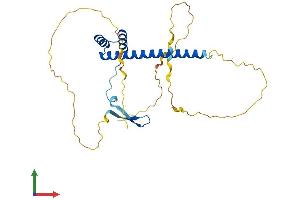 AlphaFold protein structure predicition of Human Recombinant VAX2 Protein, UniprotID Q9UIW0