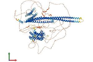 Protein Structure (PS) image for rho GTPase Activating Protein 29 (ARHGAP29) (AA 1-1266) protein (His tag) (ABIN7564571)