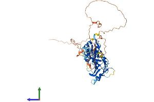 Protein Structure (PS) image for Interferon Regulatory Factor 4 (IRF4) (AA 1-451) protein (His tag) (ABIN7548520)