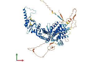 AlphaFold protein structure predicition of Human Recombinant BBS10 Protein, UniprotID Q8TAM1 (BBS10 Protein (AA 1-723) (His tag))