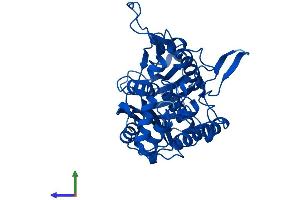 Protein Structure (PS) image for Acetyl-CoA Acyltransferase 2 (ACAA2) (AA 1-397) protein (His tag) (ABIN7544375)