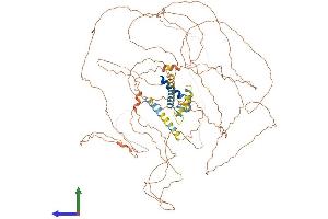 AlphaFold protein structure predicition of Human Recombinant TCHHL1 Protein, UniprotID Q5QJ38 (TCHHL1 Protein (AA 1-904) (His tag))
