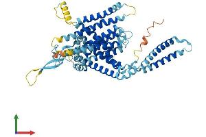 AlphaFold protein structure predicition of Human Recombinant LMBRD1 Protein, UniprotID Q9NUN5