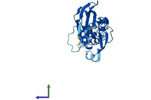 AlphaFold protein structure predicition of Human Recombinant FBXO44 Protein, UniprotID Q9H4M3