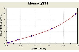 Diagramm of the ELISA kit to detect Mouse gGT1with the optical density on the x-axis and the concentration on the y-axis.
