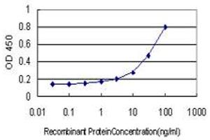 Detection limit for recombinant GST tagged RASA3 is approximately 0. (RASA3 antibody  (AA 725-834))