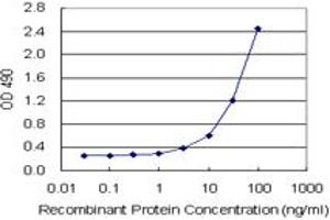 Sandwich ELISA detection sensitivity ranging from 3 ng/mL to 100 ng/mL. (SPP1 (Human) Matched Antibody Pair)