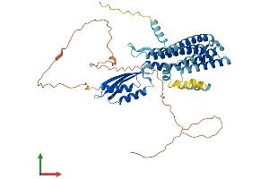 AlphaFold protein structure predicition of Human Recombinant SLC30A6 Protein, UniprotID Q6NXT4 (SLC30A6 Protein (AA 1-461) (His tag))