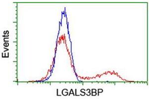 HEK293T cells transfected with either RC204918 overexpress plasmid (Red) or empty vector control plasmid (Blue) were immunostained by anti-LGALS3BP antibody (ABIN2454976), and then analyzed by flow cytometry. (LGALS3BP antibody)