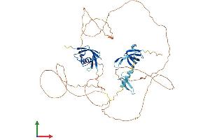 AlphaFold protein structure predicition of Mouse Recombinant Coil Protein, UniprotID Q5SU73 (Coilin Protein (COIL) (AA 1-570) (His tag))