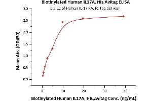 Immobilized Human IL-17 RA, Fc Tag (ABIN2181346,ABIN2181345) at 5 μg/mL (100 μL/well) can bind Biotinylated Human IL17A, His,Avitag (ABIN6810035,ABIN6938852) with a linear range of 0. (Interleukin 17a Protein (AA 24-155) (His tag,AVI tag,Biotin))
