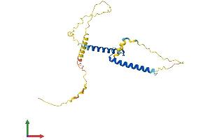 AlphaFold protein structure predicition of Human Recombinant ASCL1 Protein, UniprotID P50553