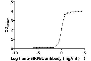 Measured by its binding ability in a functional ELISA.