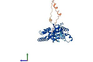 AlphaFold protein structure predicition of Mouse Recombinant Golph3 Protein, UniprotID Q9CRA5 (GOLPH3 Protein (AA 1-298) (His tag))