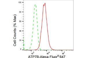 Flow cytometric analysis of ATP7B expression in HepG2 cells using ATP7B antibody (ABIN7797696), 1:2,000). (Recombinant ATP7B antibody)