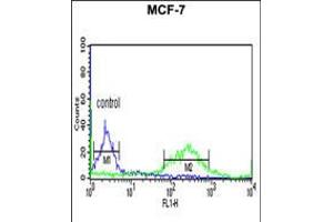 Flow cytometric analysis of MCF-7 cells (right histogram) compared to a negative control cell (left histogram). (ETS2 antibody  (AA 146-173))