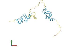 AlphaFold protein structure predicition of Human Recombinant CSRP2 Protein, UniprotID Q16527